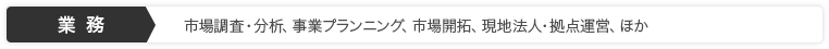 業務：市場調査・分析、事業プランニング、市場開拓、現地法人・拠点運営、ほか